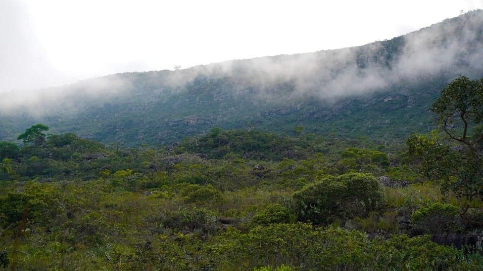 Extremos Climáticos: Sul de Minas Gerais registra as menores temperaturas do país