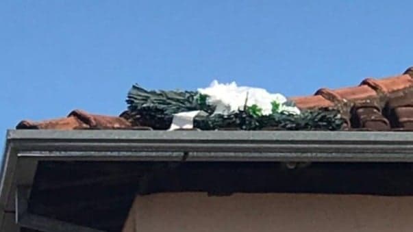 Coroa de flores "voadora" cai em telhado e assusta moradores em MG