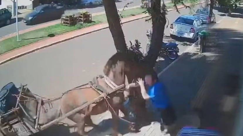 Cena inusitada: Cavalo morde vereador na cidade de São Manoel do Paraná